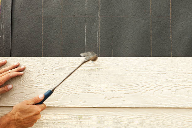 Best Custom Siding Design  in Dravosburg, PA